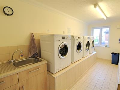Picture 13